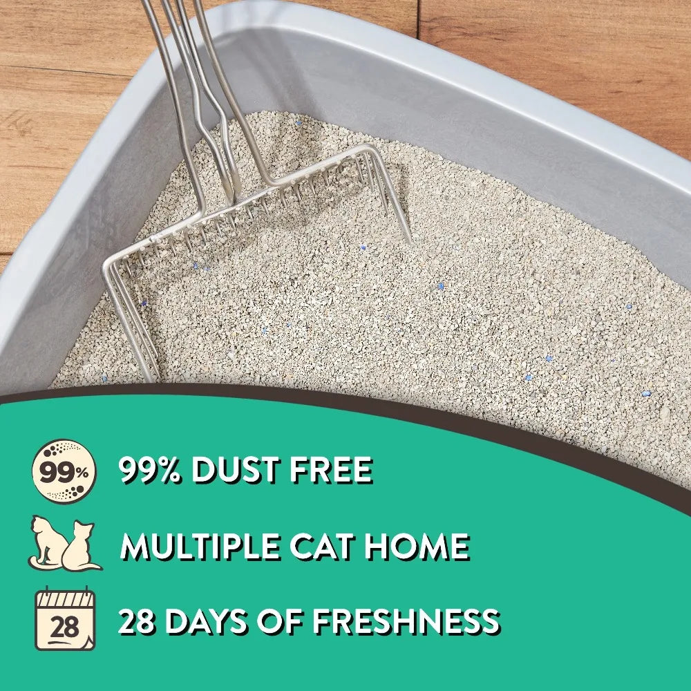 4 Pack Clumping Cat Litter Fresh Scent 20 lbs Jug Heavy Duty Unscented Odor Control Multi Cat Strong Clump Bentonite