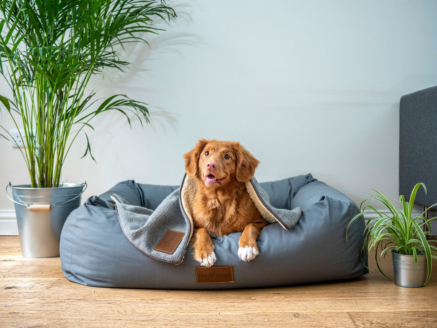 Beds & Crates