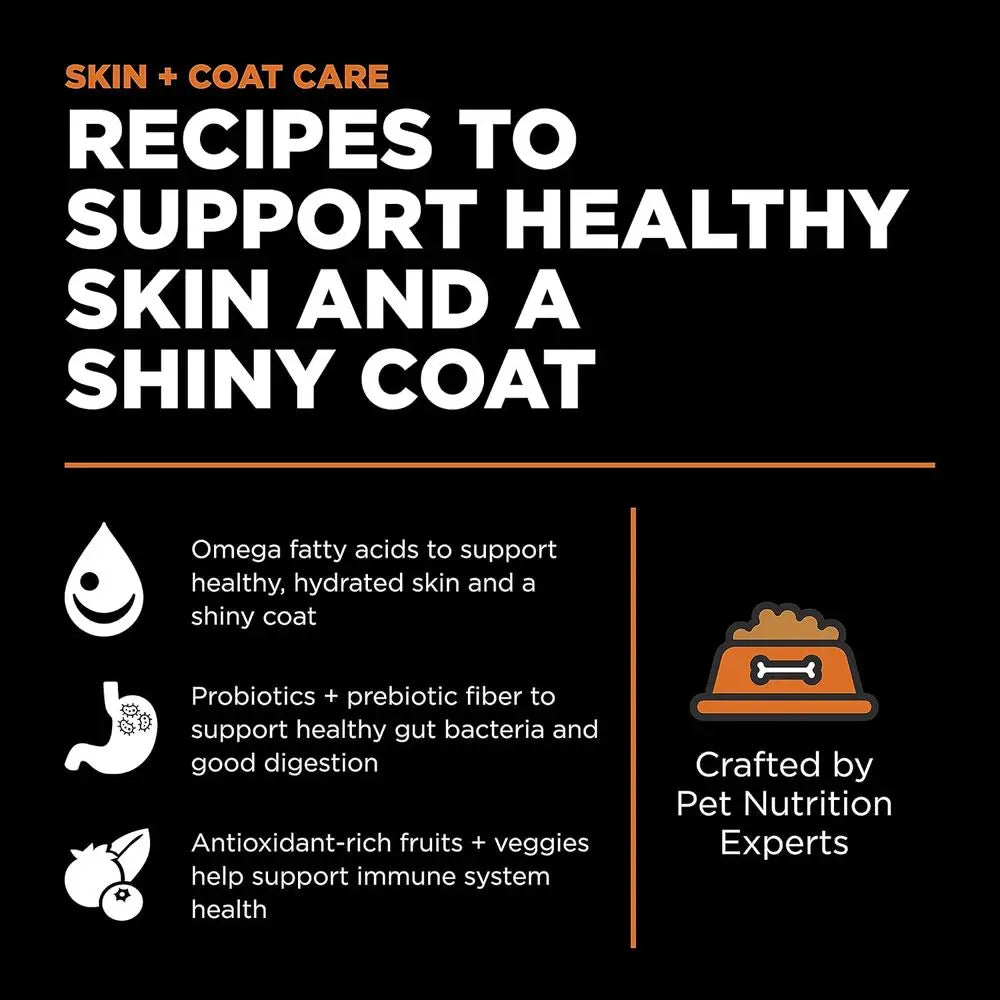 Skin And Coat Care Salmon Grain Free Dry Cat Food With Omega 3 And 6