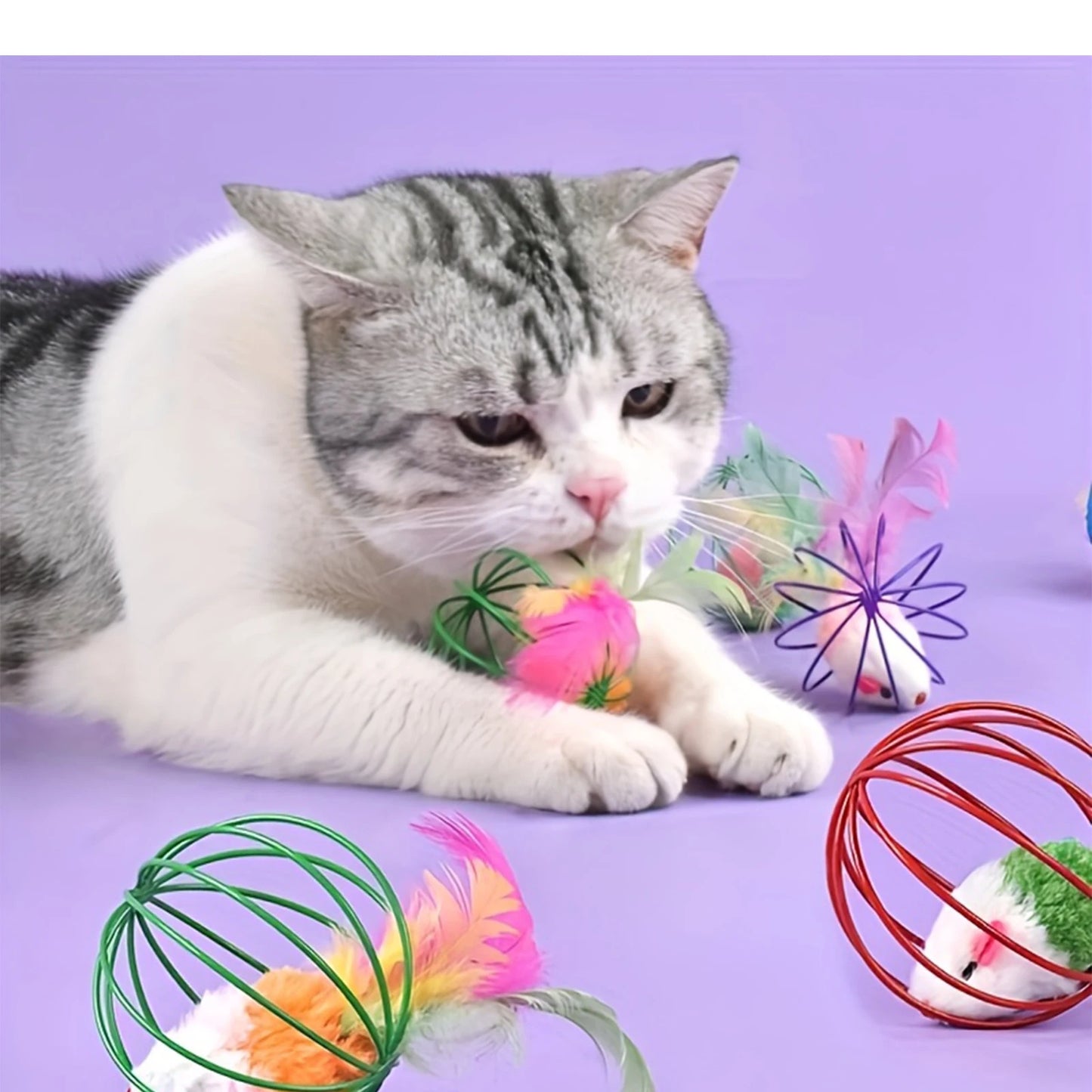 LISMCN Interactive Cat Toy Mouse Cage Teaser Ball For Cats