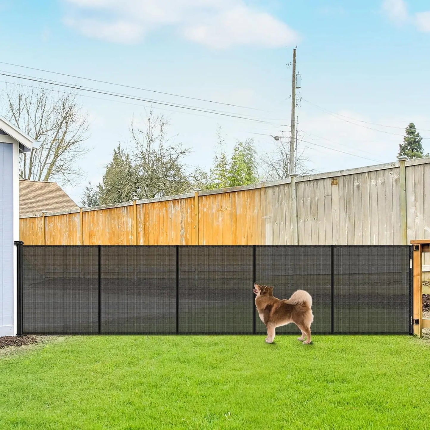 42" Tall Retractable Dog Gate, 155" Wide Adjustable Pet Barrier for Indoor/Outdoor Use - Black