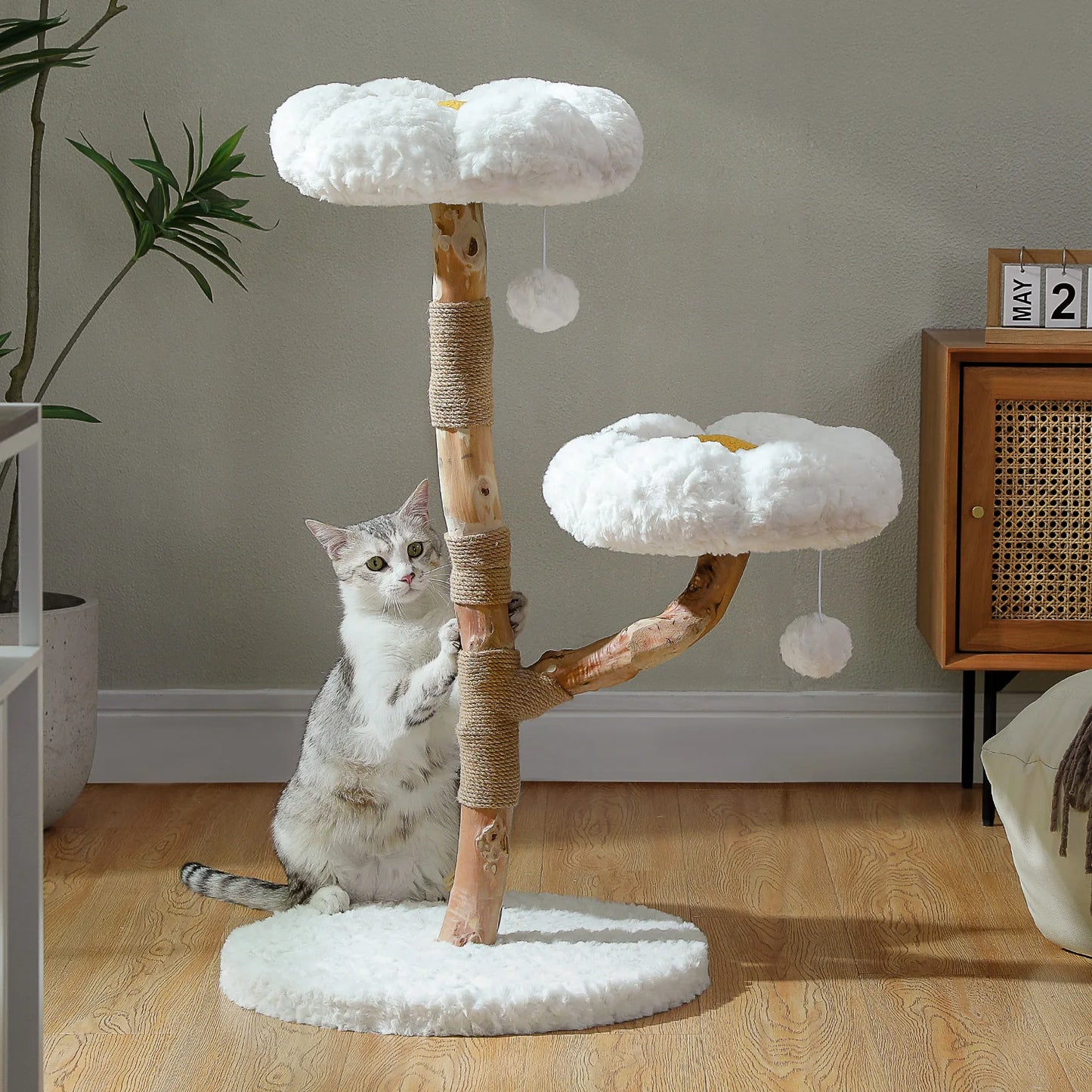 PEQULTICN Solid Wood Cat Tree Tower With Five Levels