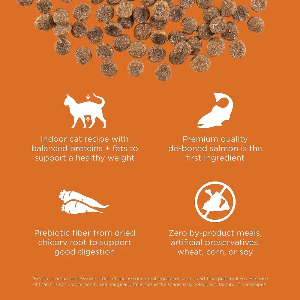 Skin And Coat Care Salmon Grain Free Dry Cat Food With Omega 3 And 6