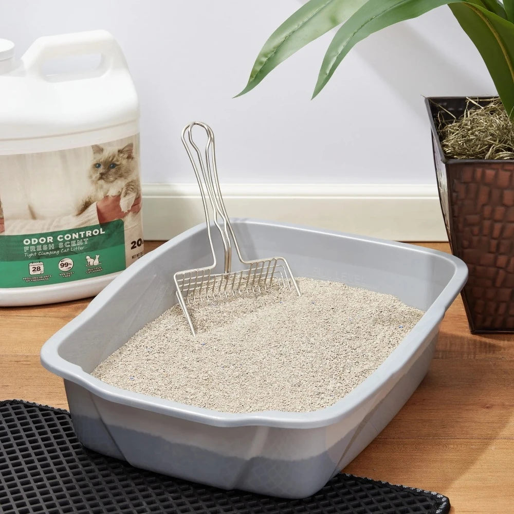 4 Pack Clumping Cat Litter Fresh Scent 20 lbs Jug Heavy Duty Unscented Odor Control Multi Cat Strong Clump Bentonite