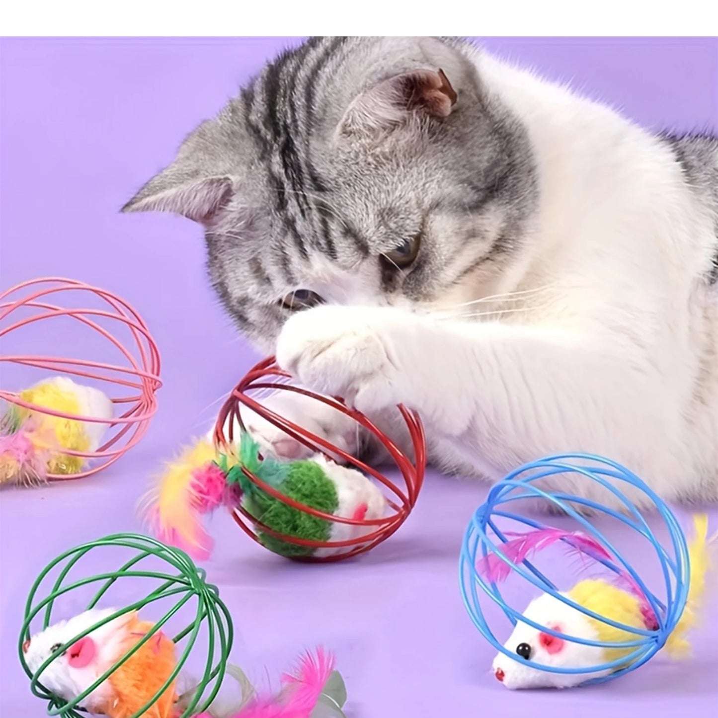 LISMCN Interactive Cat Toy Mouse Cage Teaser Ball For Cats